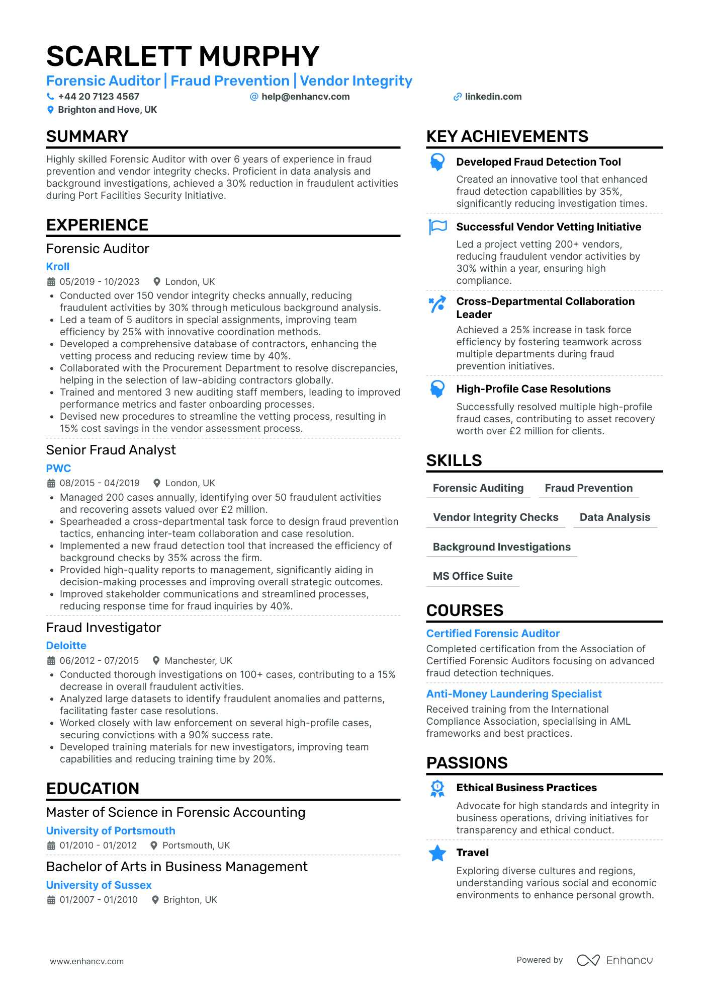 Forensic Auditor Resume Example