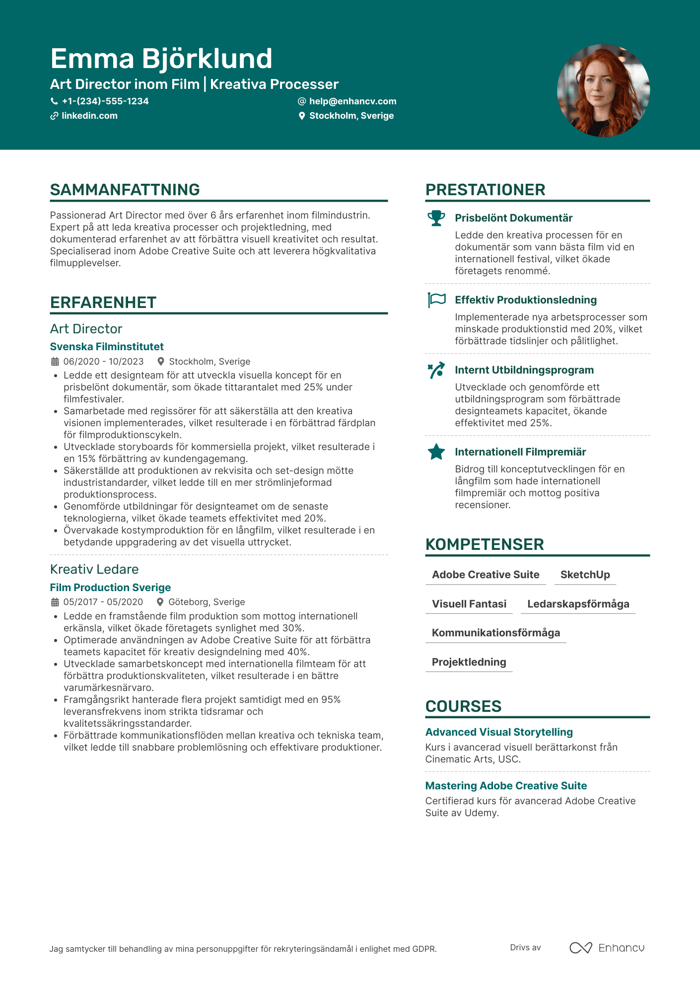 CV för Art Director in Film Resume Example