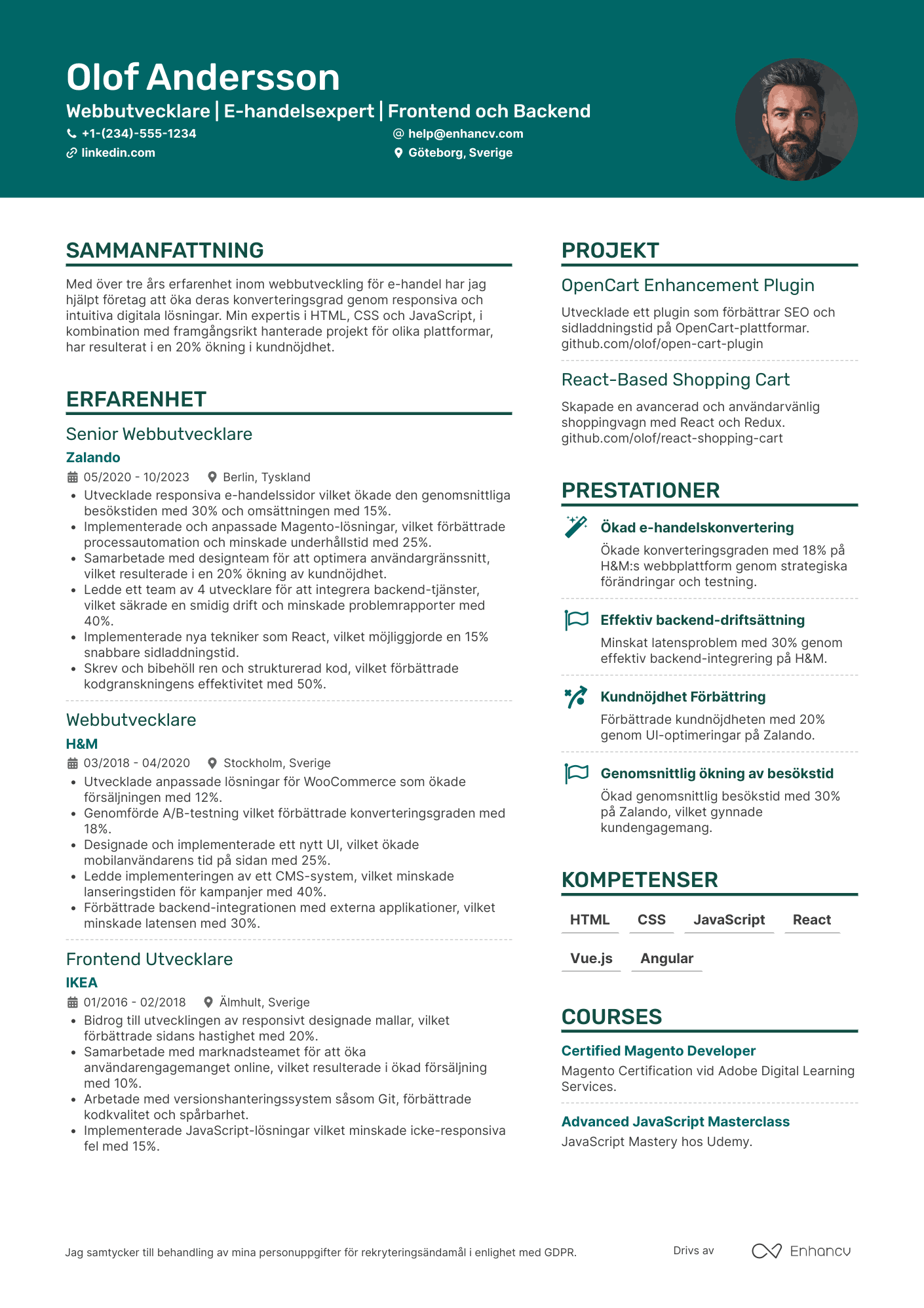 CV för Webbutvecklare inom E handel Resume Example