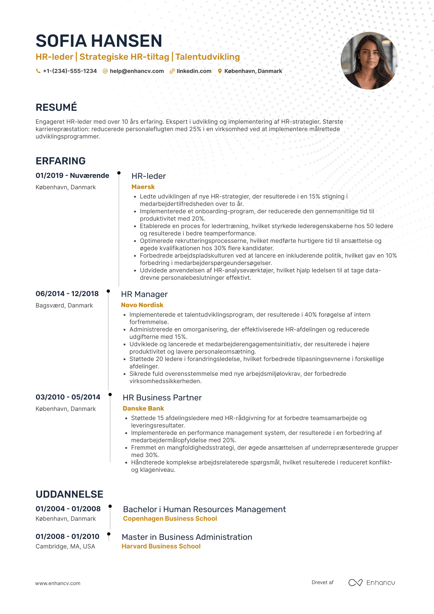 CV til HR direktør Resume Example
