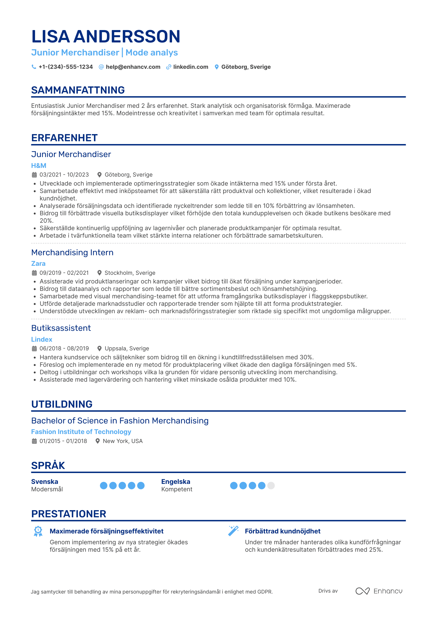 CV för Junior Merchandiser Resume Example