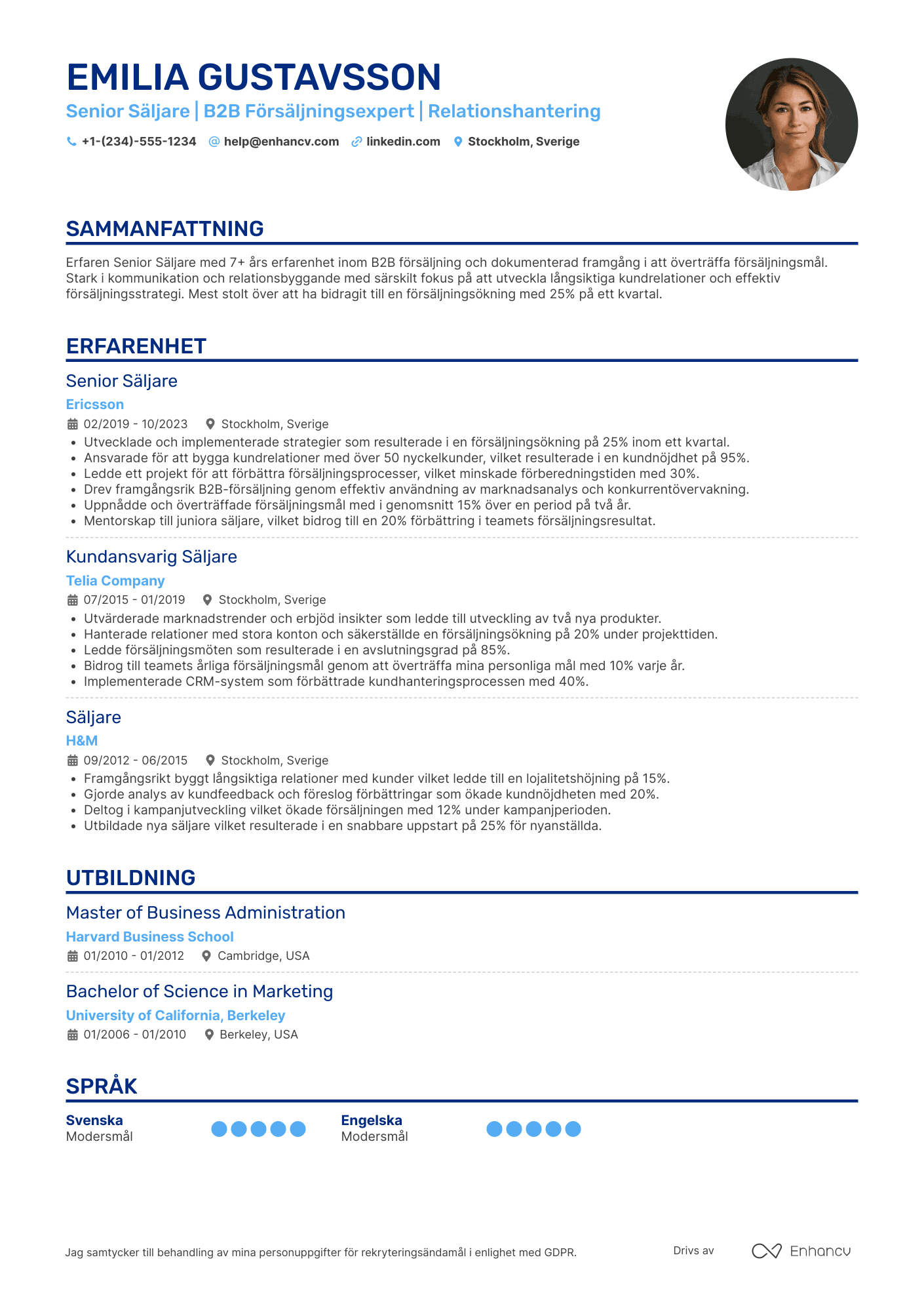 CV för Senior Säljare Resume Example