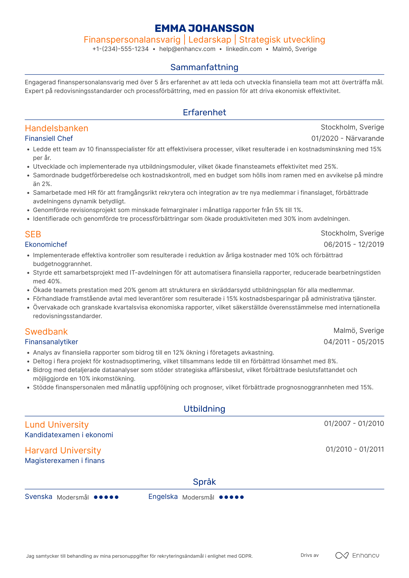 CV för Finanspersonalansvarig Resume Example