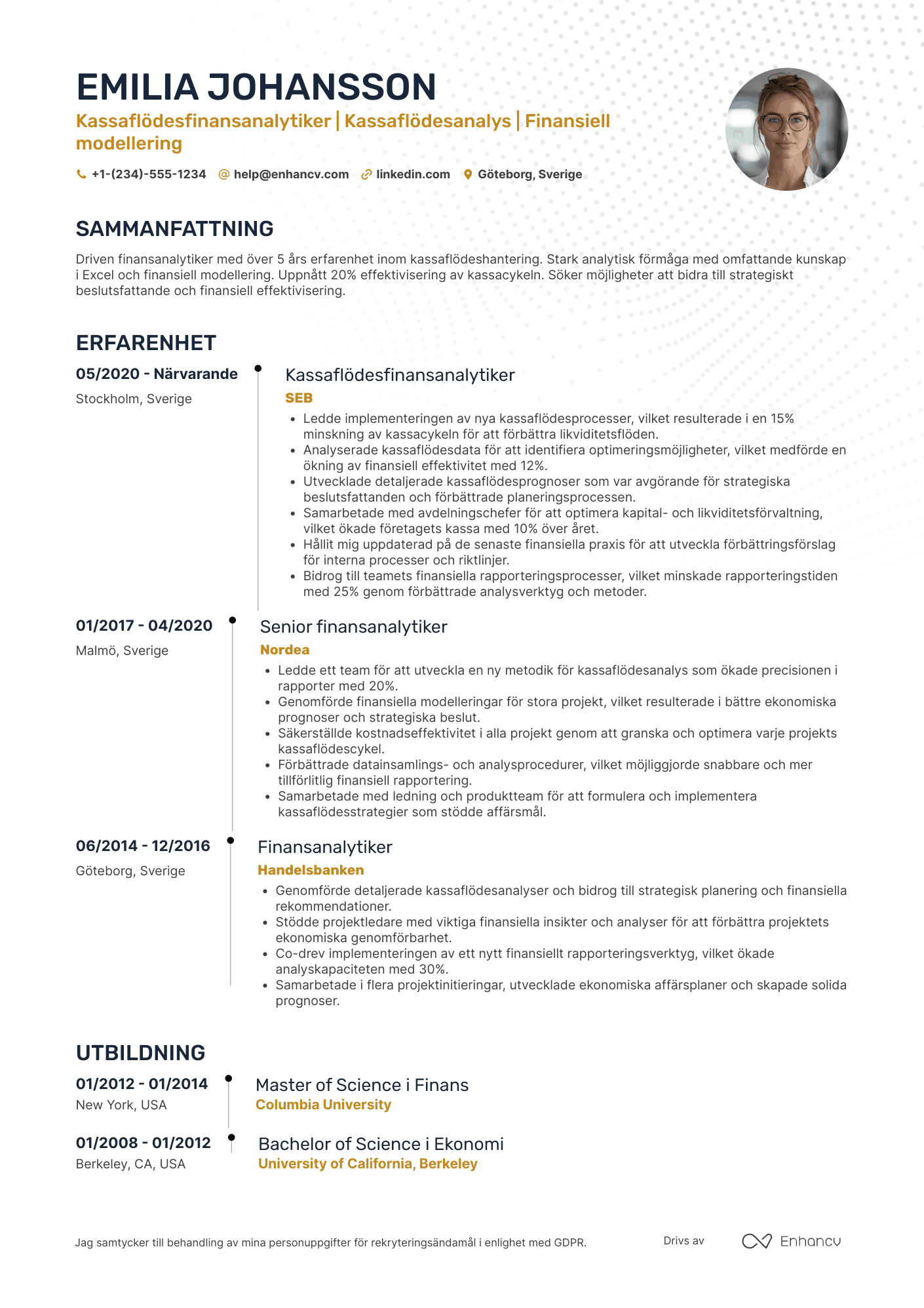 CV för Kassaflödesfinansanalytiker Resume Example