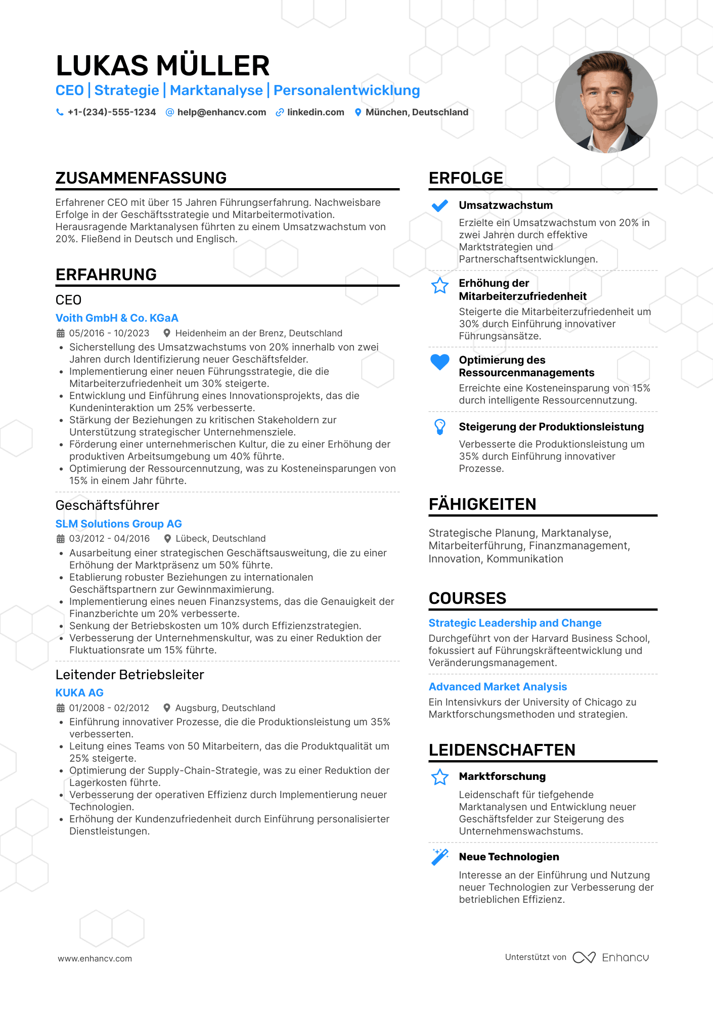CEO eines KMU Resume Example