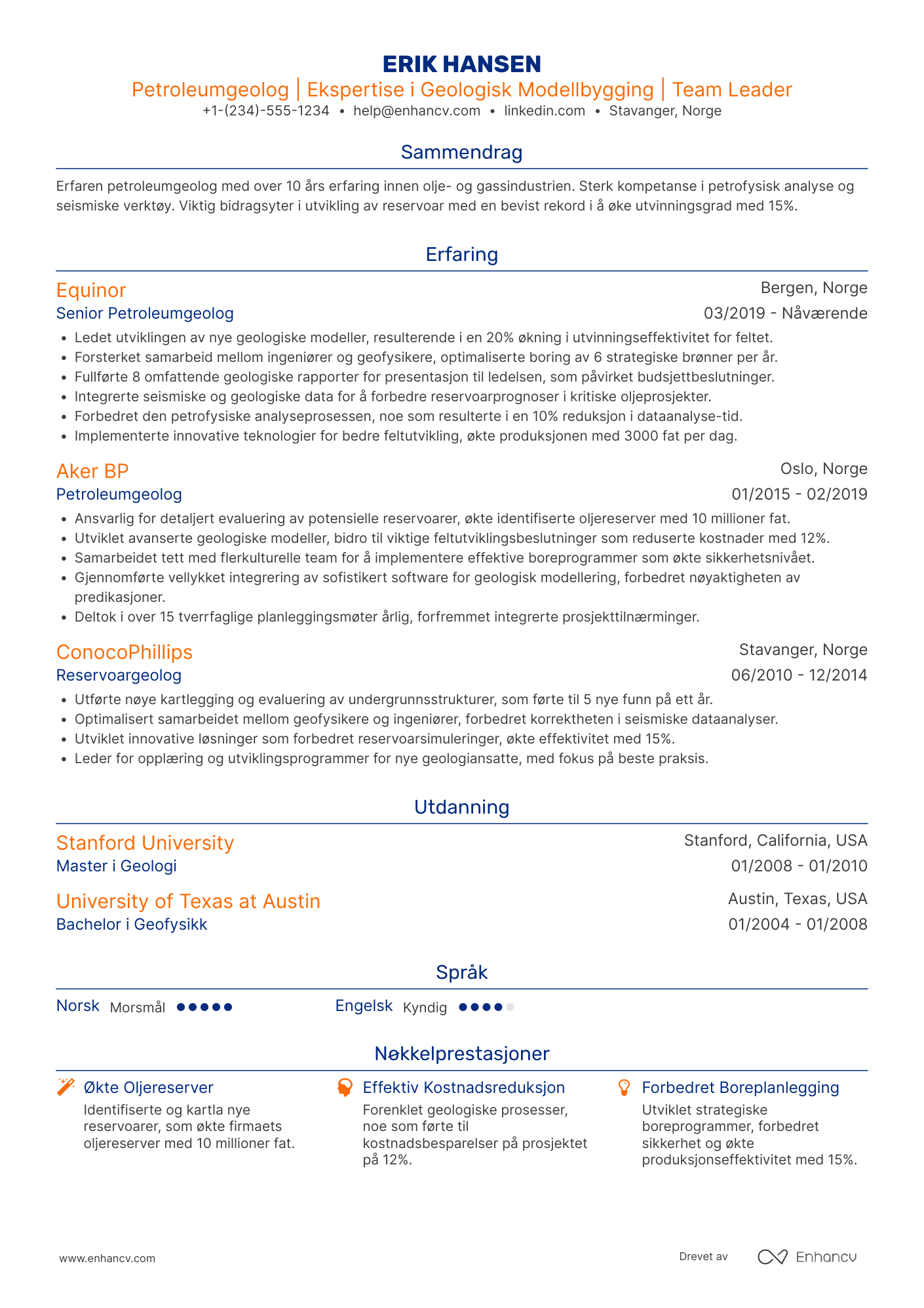 CV for Petroleumgeolog Resume Example