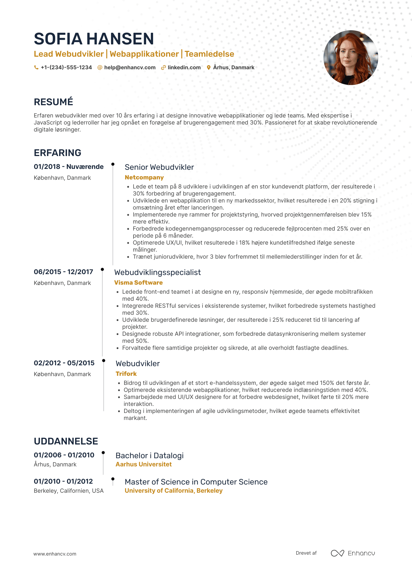 CV til Lead Webudvikler Resume Example
