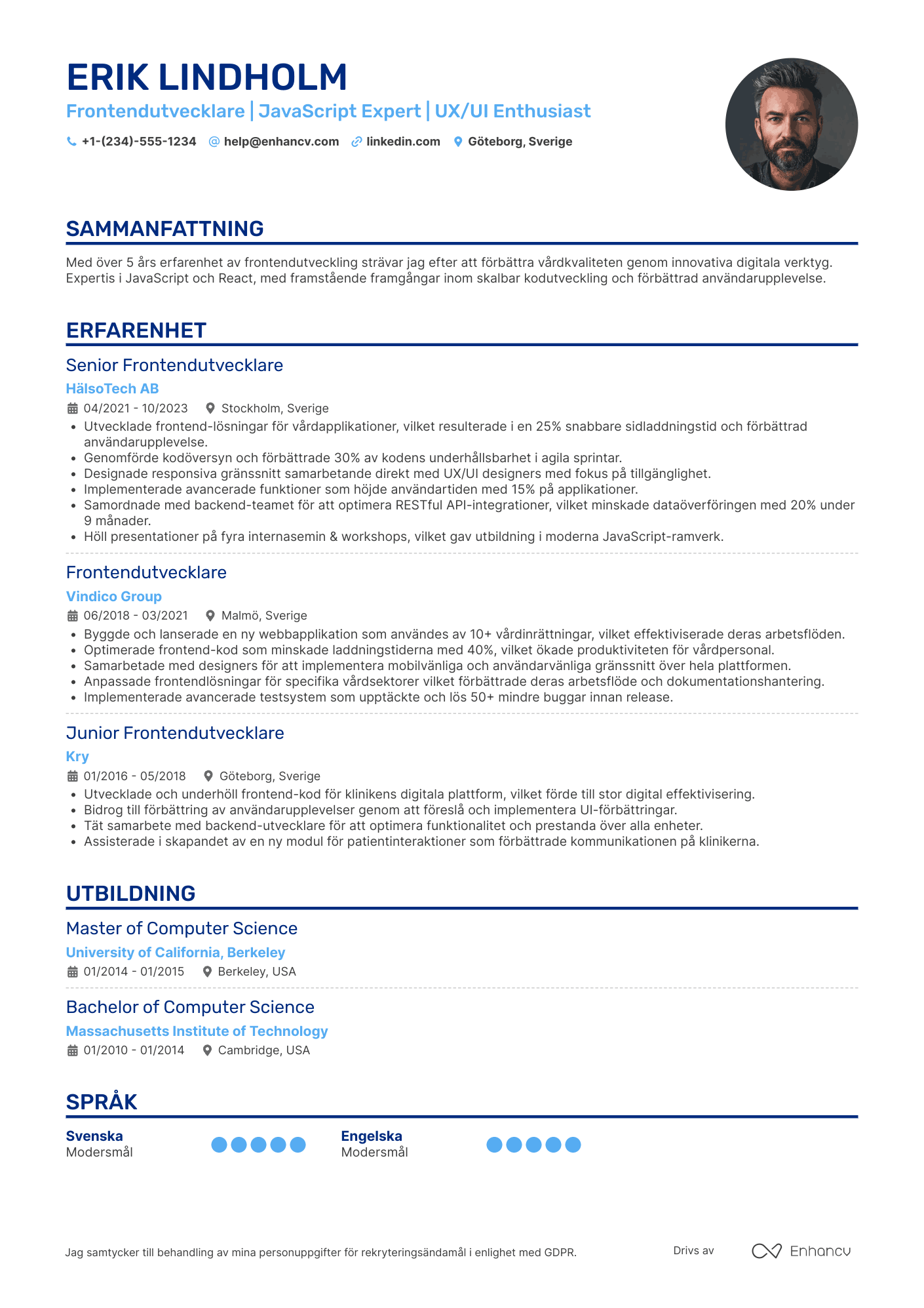 CV för Healthcare Frontendutvecklare Resume Example