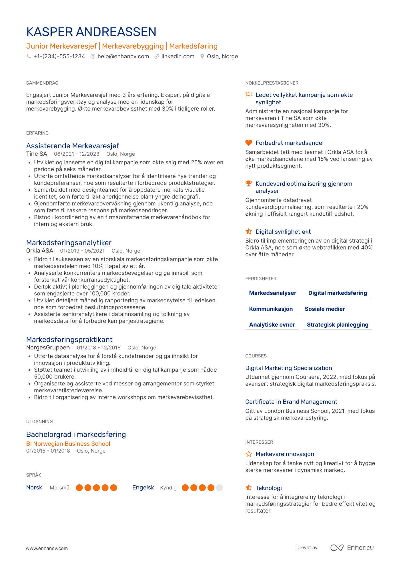 CV for Junior Merkevaresjef Resume Example
