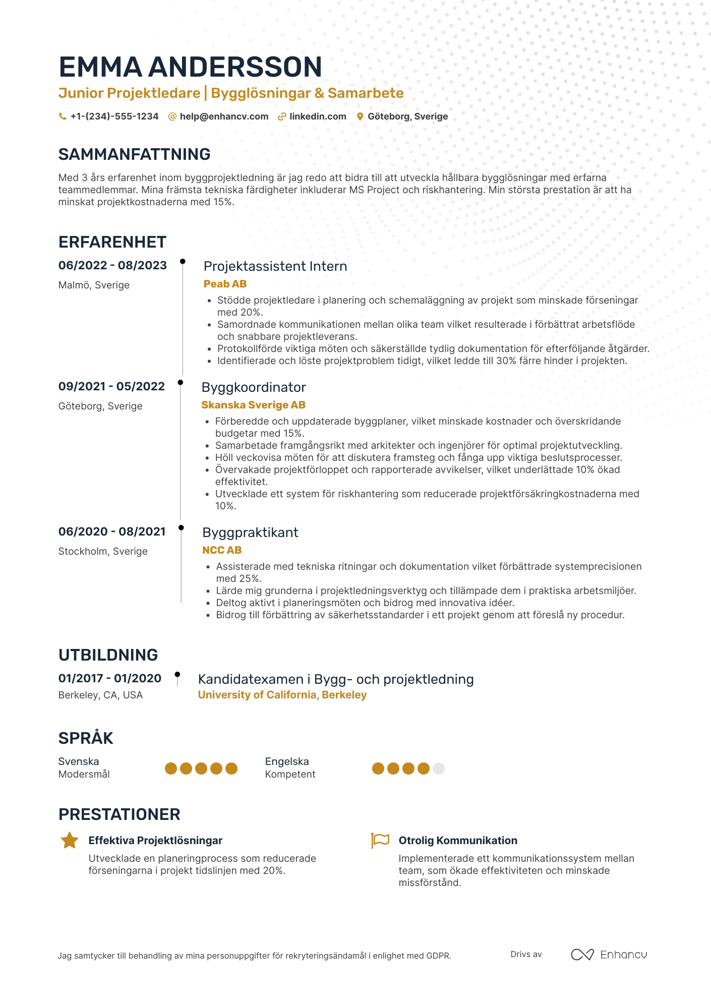 CV för Junior projektledare Resume Example