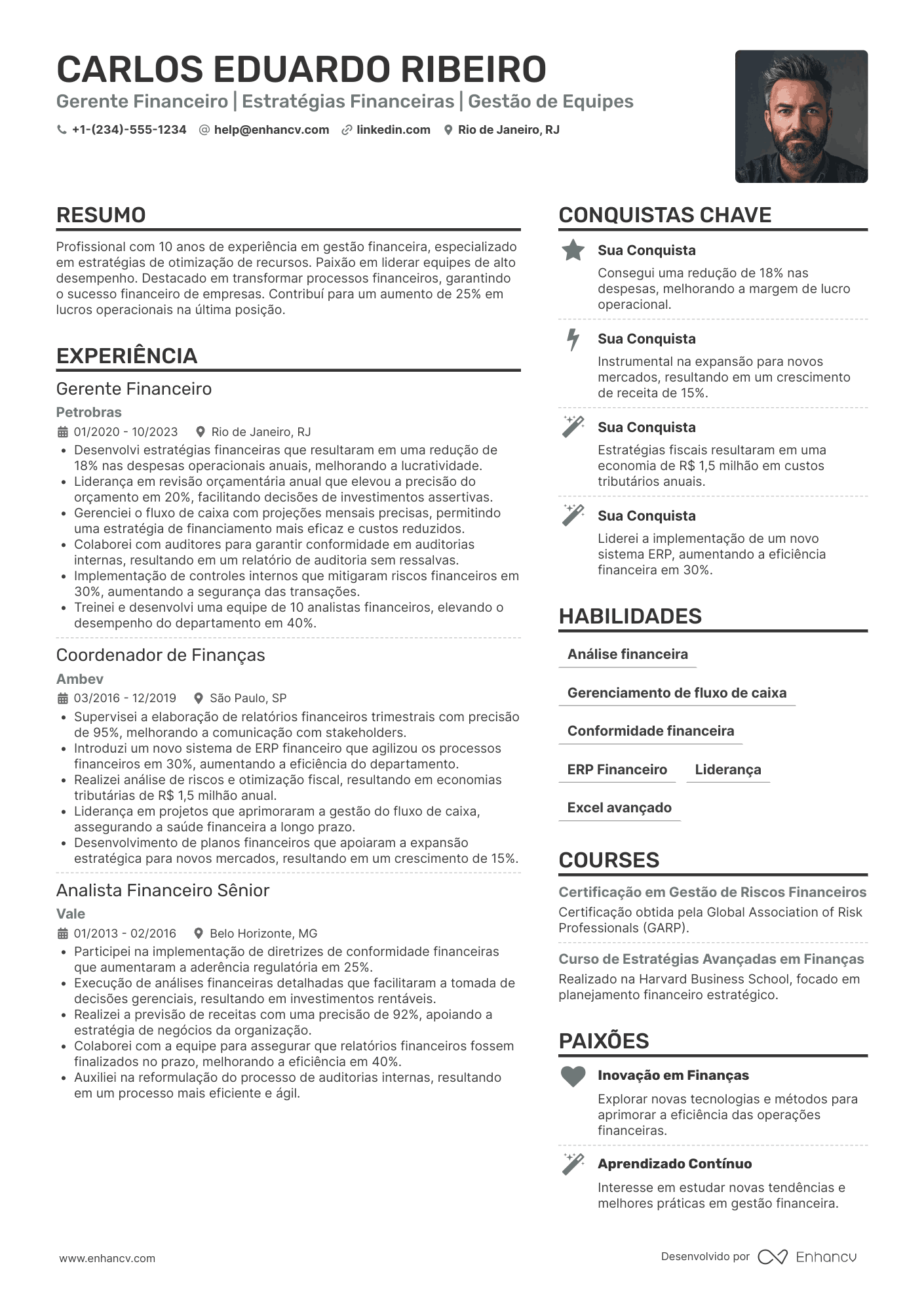 Gerente financeiro Resume Example