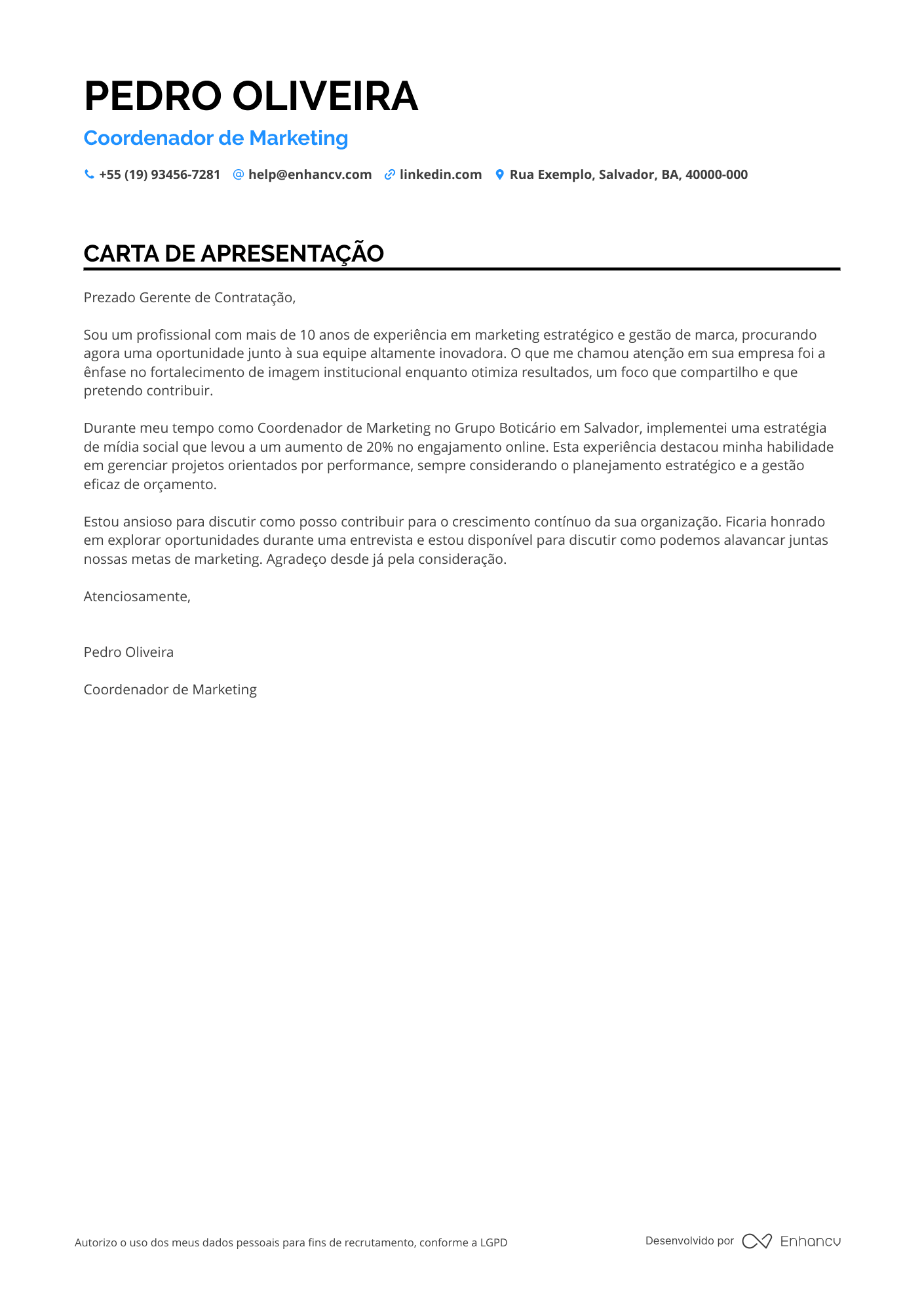 Coordenador Financeiro de Marketing Resume Example