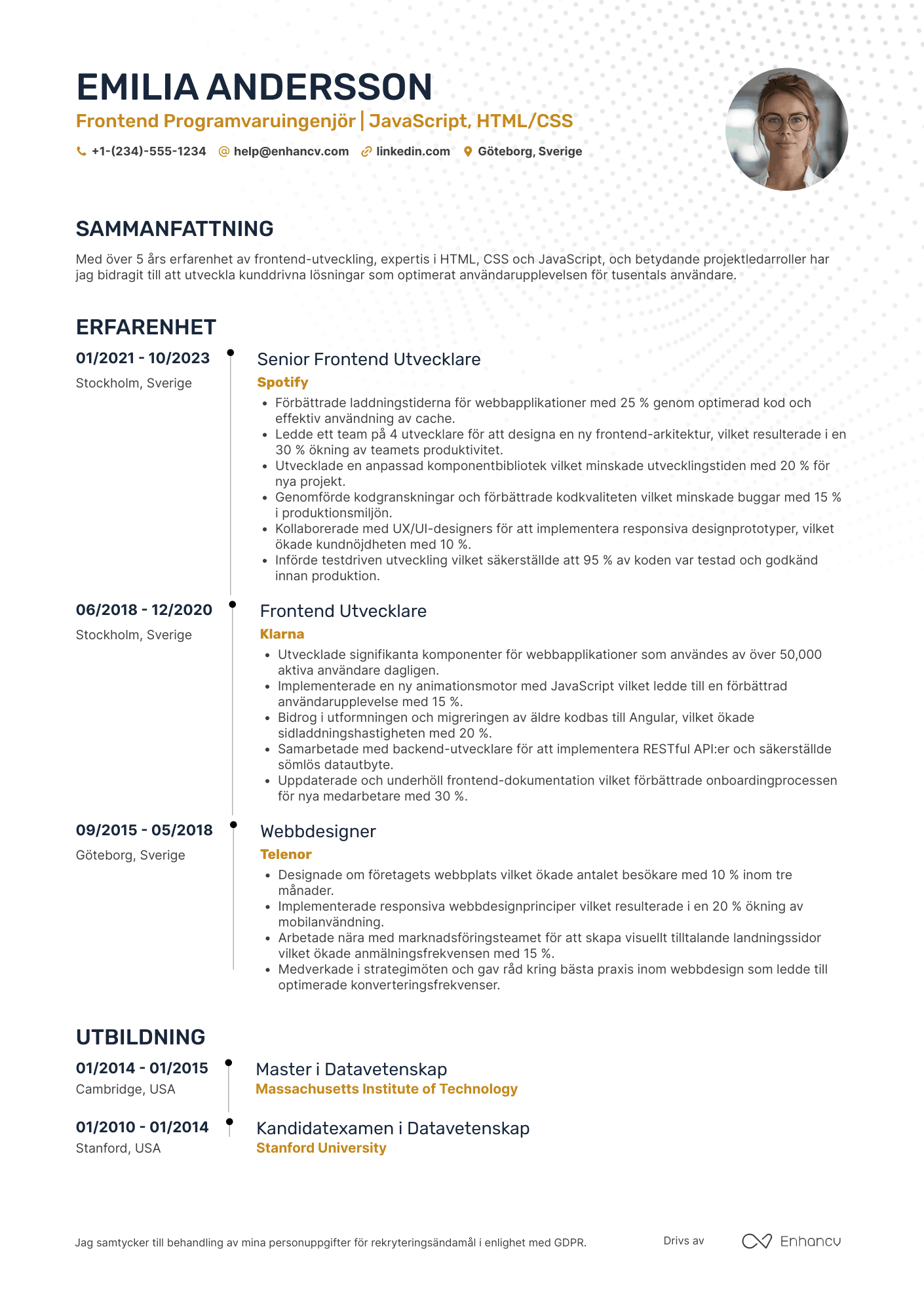 CV för Frontend Programvaruingenjör Resume Example