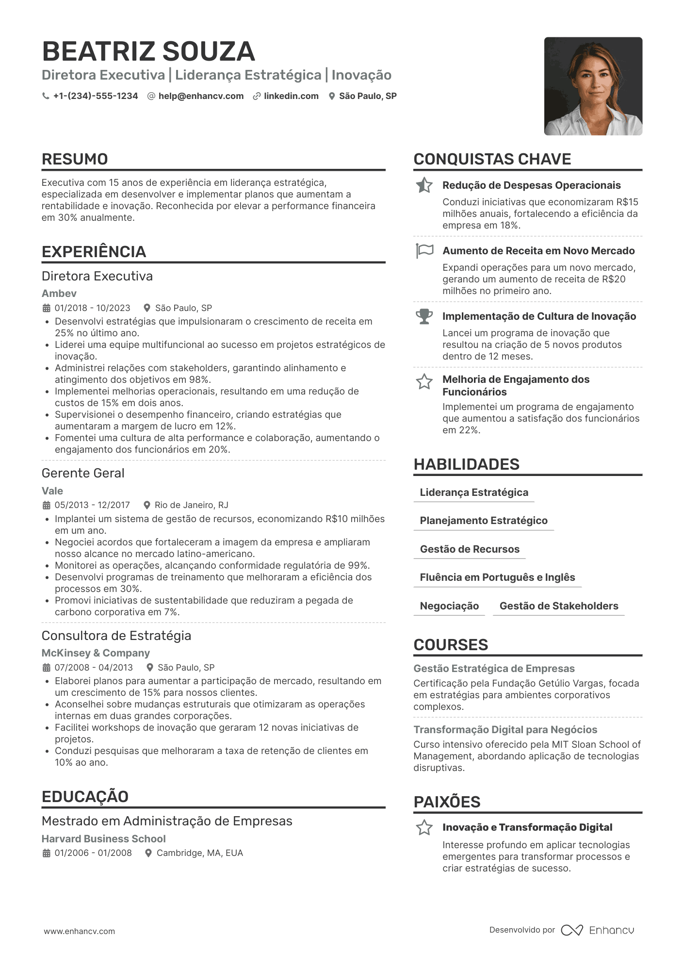 Currículo diretor executivo sênior (10 20 anos) Resume Example