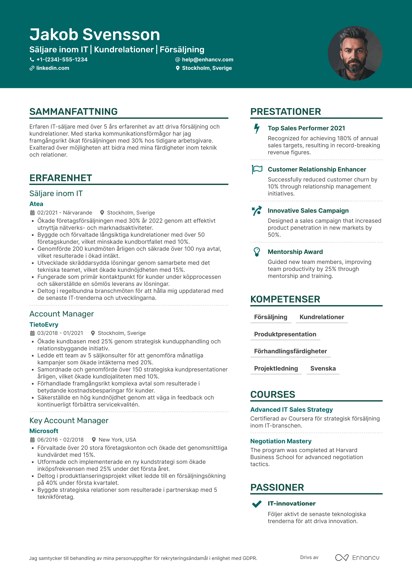 CV för Säljare inom IT Resume Example