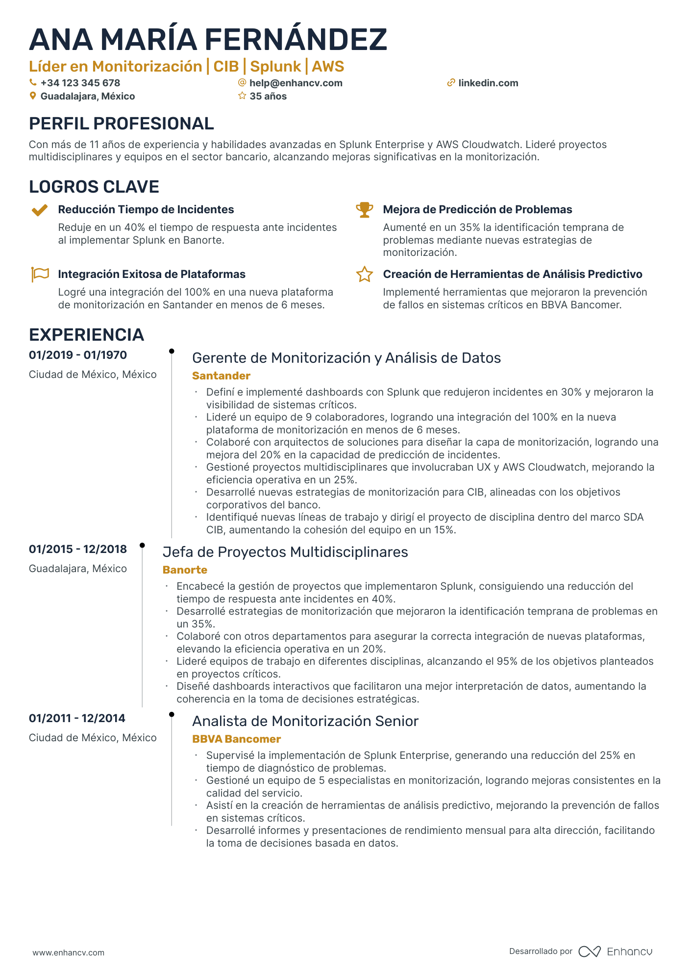 Director General Senior Resume Example