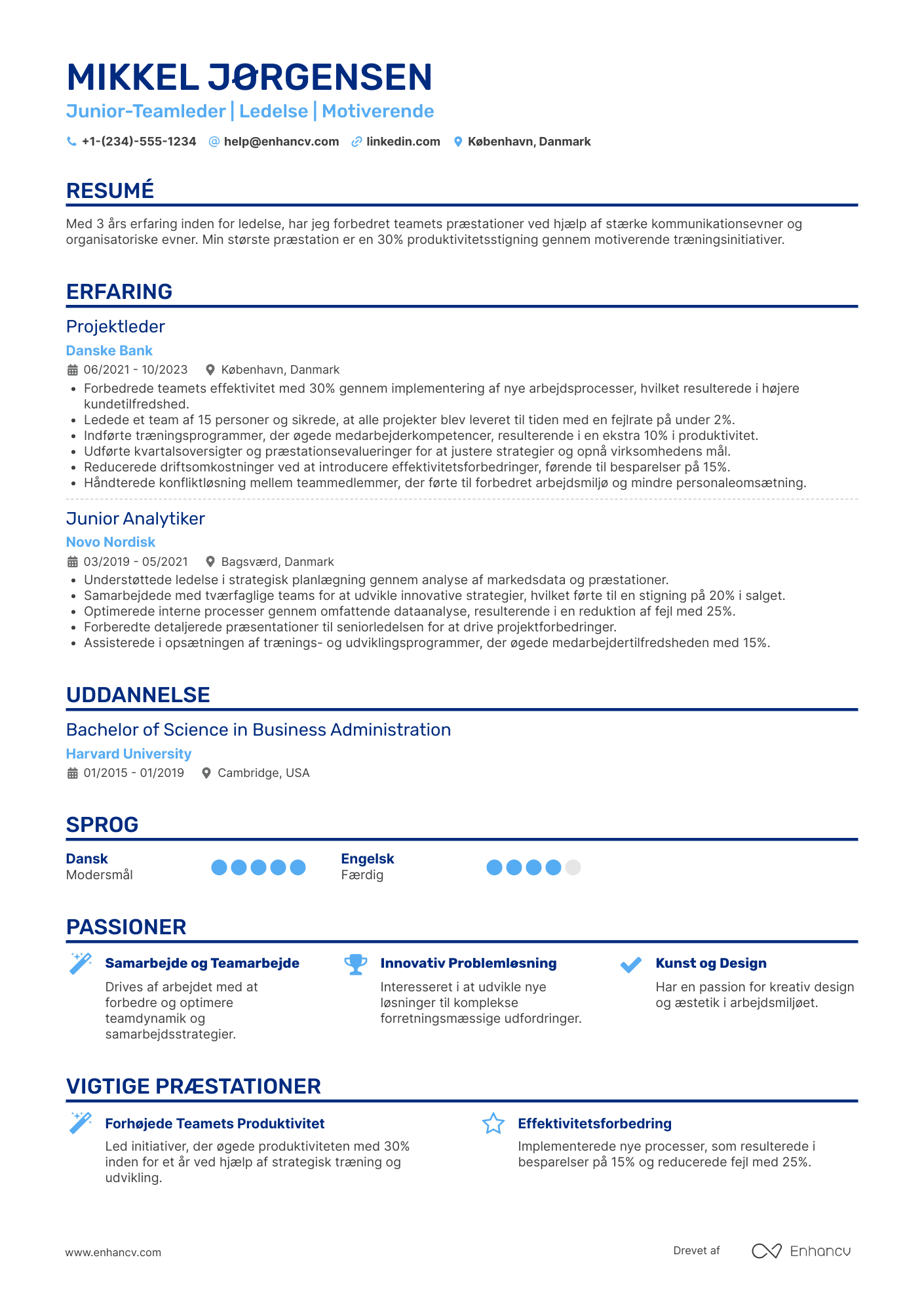 CV til Junior Teamleder Resume Example