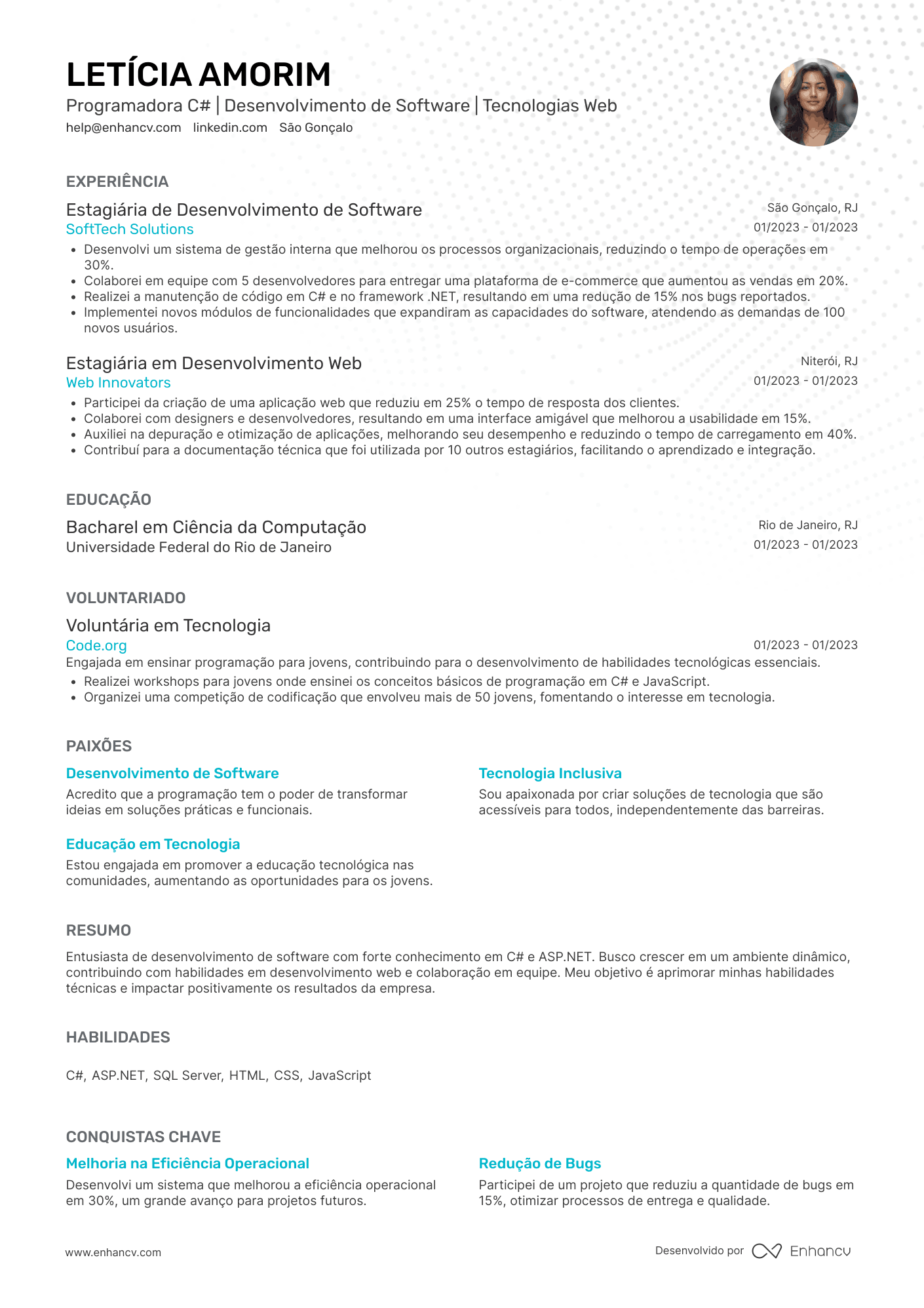 Programador C# Resume Example