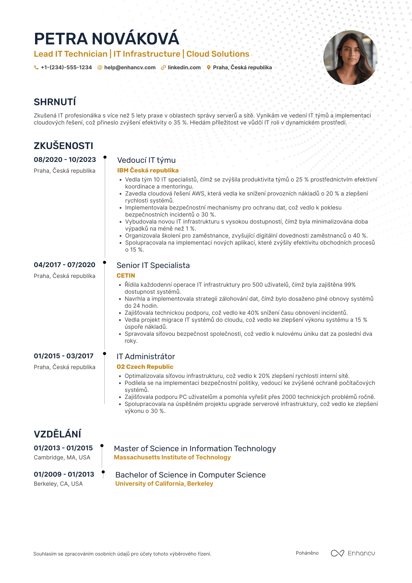 Životopis pro Lead IT Technik Resume Example