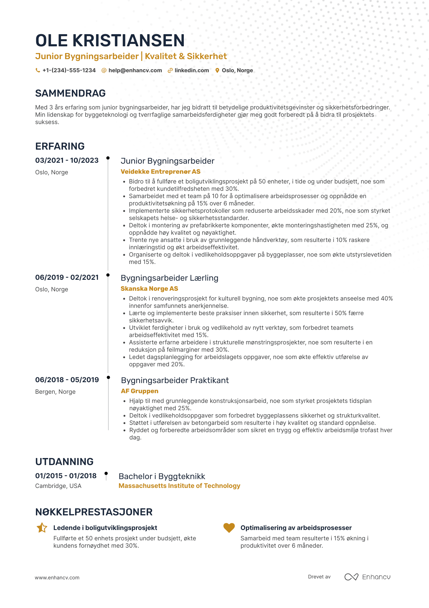 CV for Junior Bygningsarbeider Resume Example