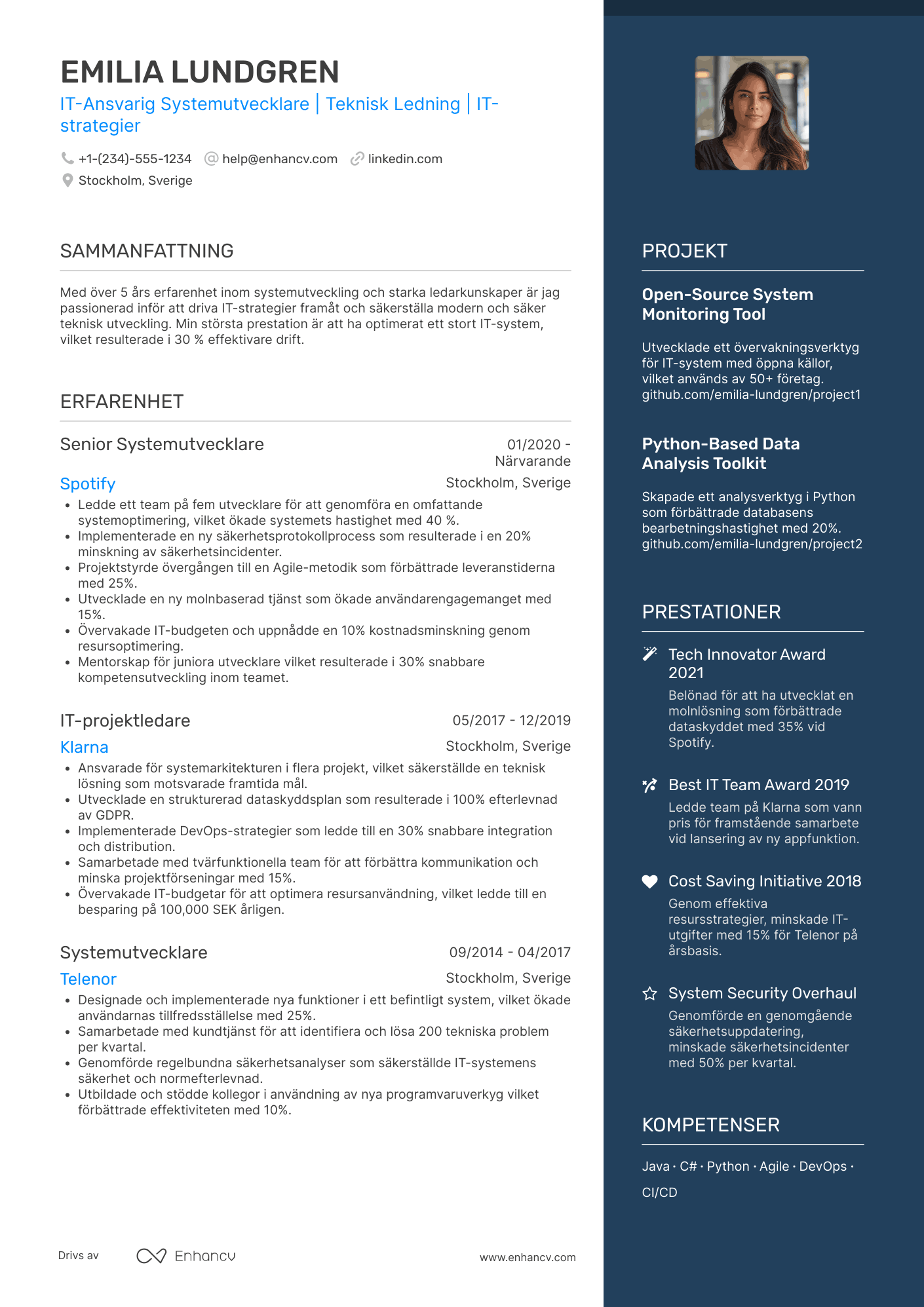 CV för IT Ansvarig Systemutvecklare Resume Example