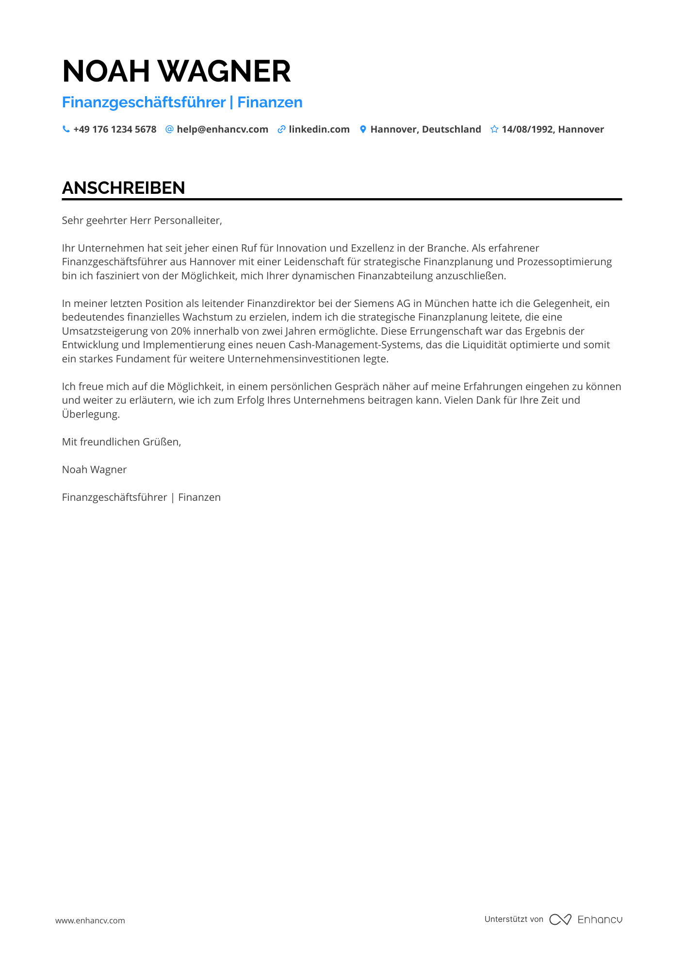 Finanzgeschäftsführer Resume Example