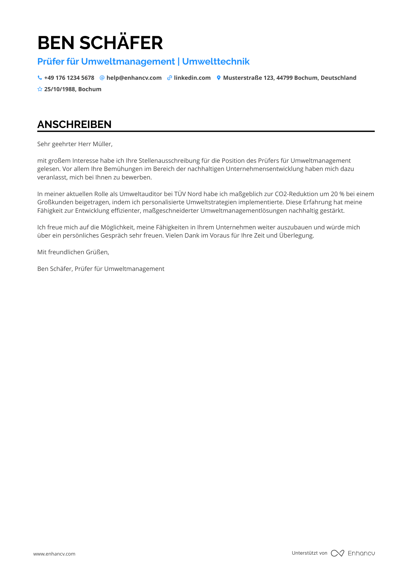 Prüfer für Umweltmanagement Resume Example