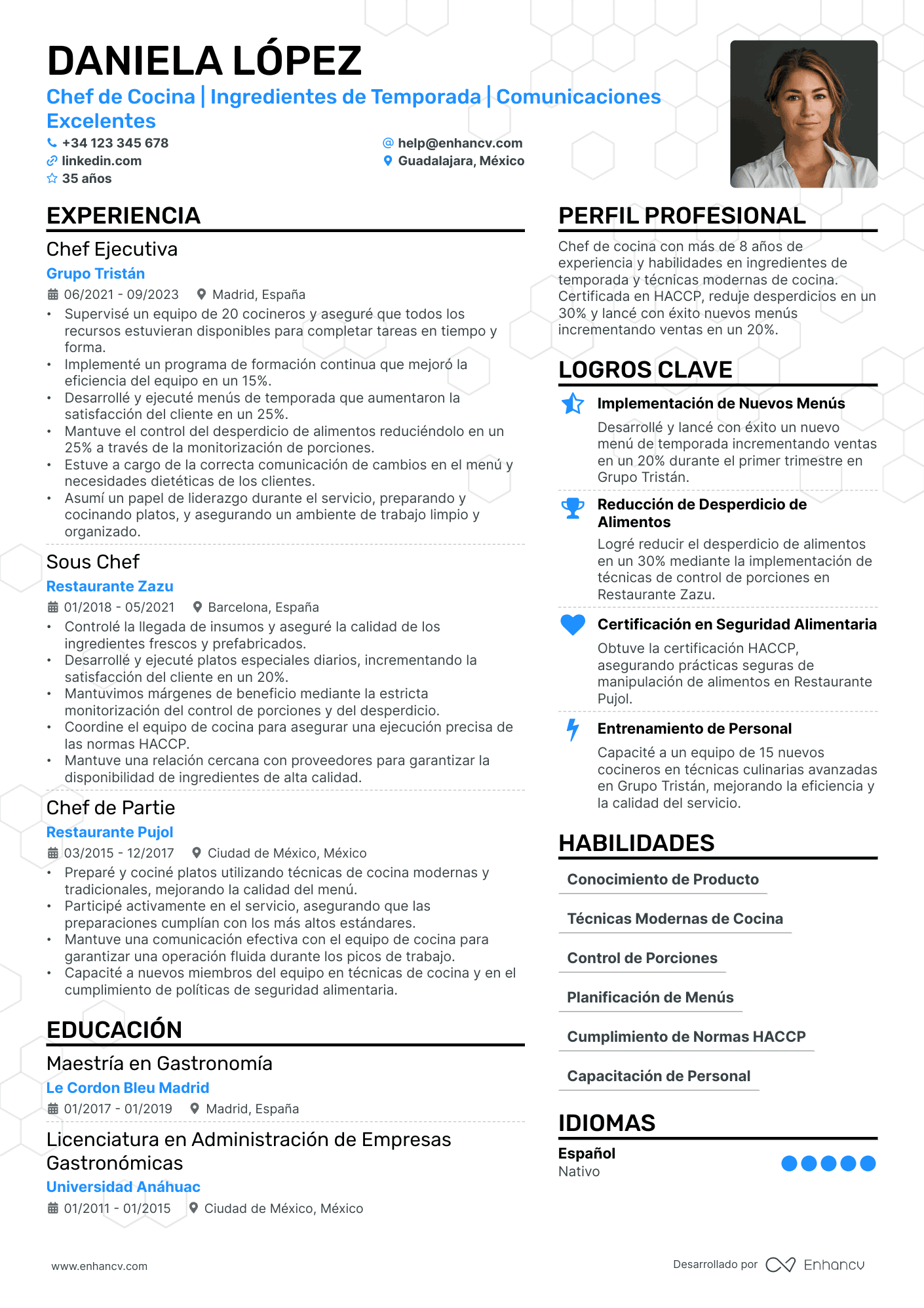 Chef de Bar Resume Example