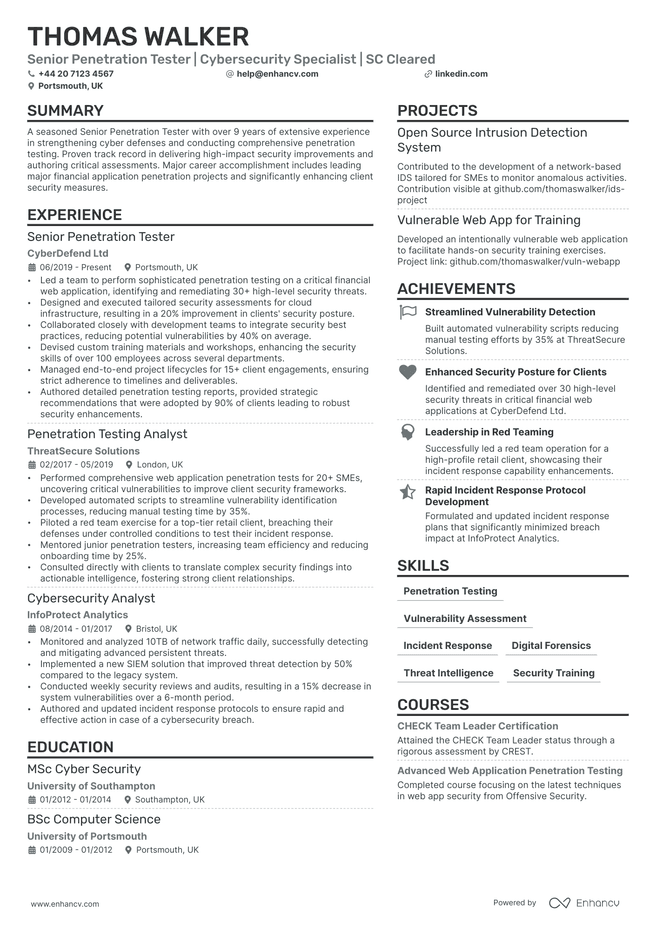 Penetration Tester CV example