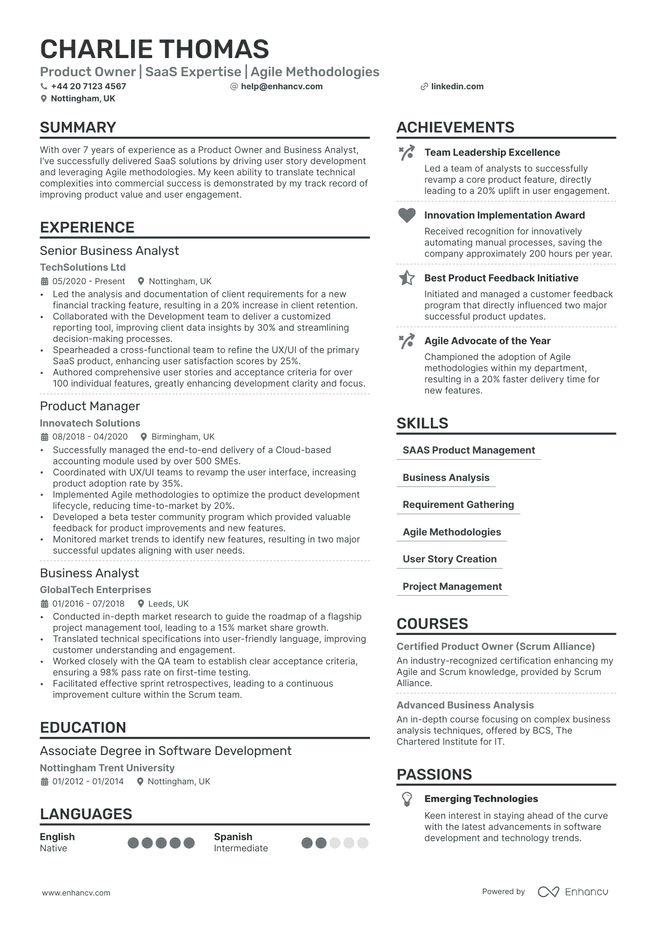 Product Owner CV example