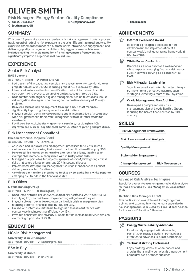 Risk Manager CV example