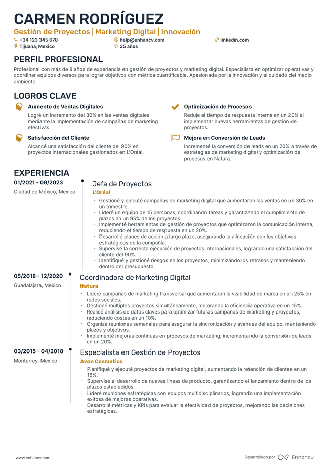 ejemplo de CV de Gerente de Proyecto de Marketing