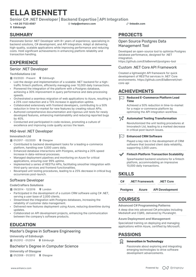 .Net Developer CV example