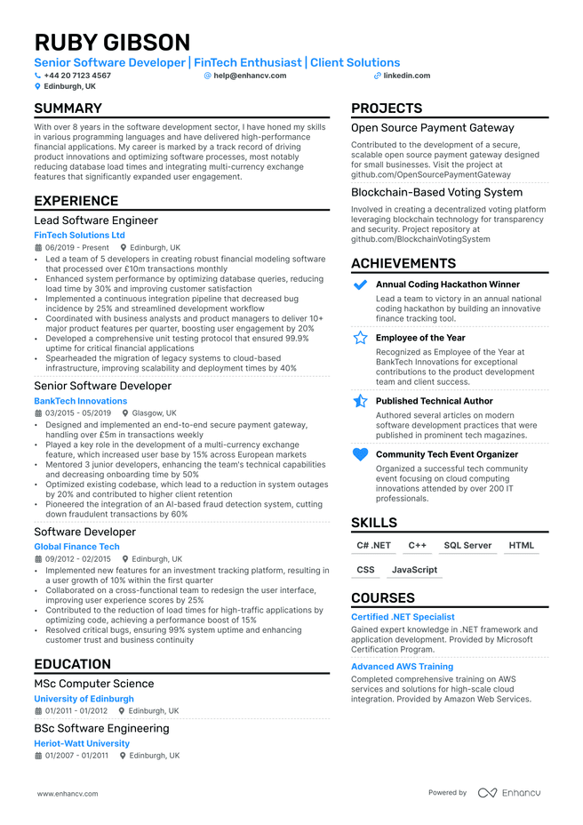 Software Developer CV example