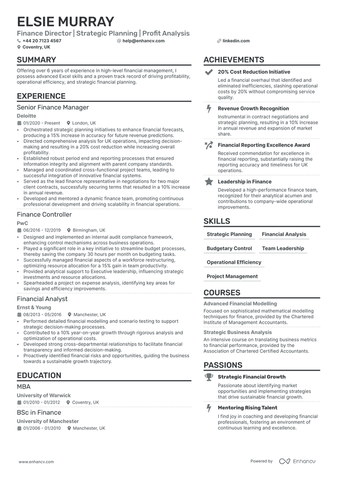 Finance Director CV example