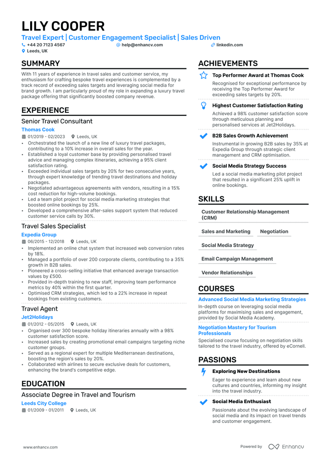 Travel Consultant CV example