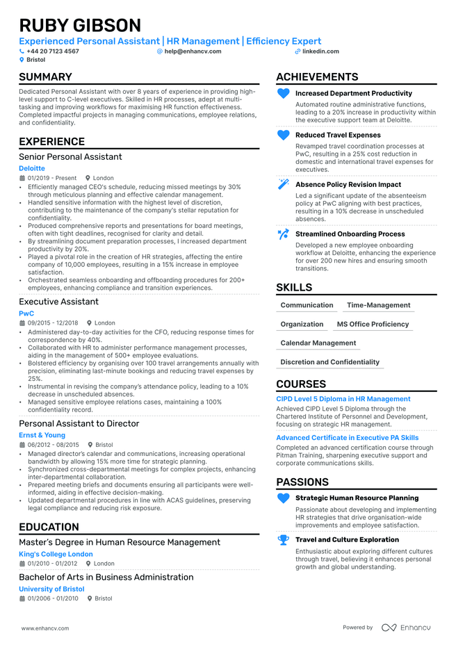 CEO CV example