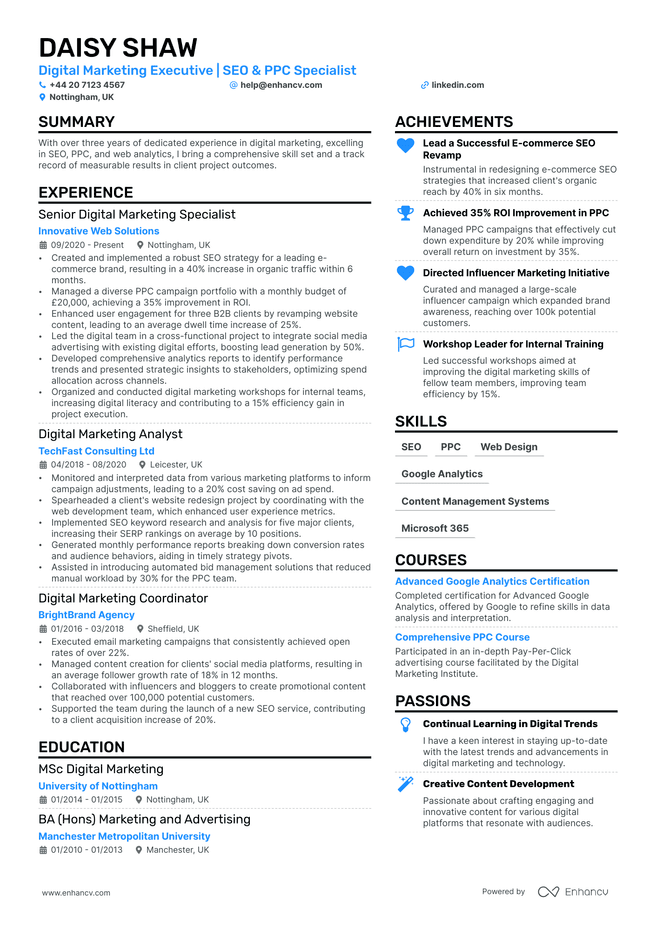 SEO CV example