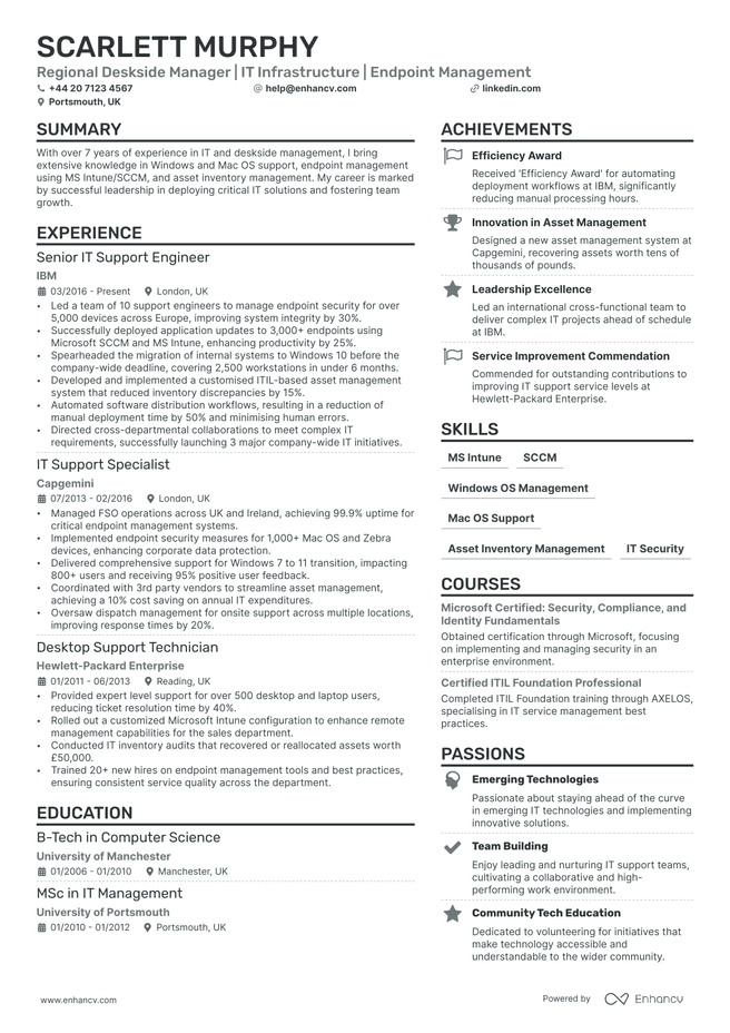 Consultant CV example