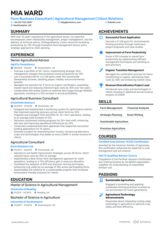 Business Consultant CV example