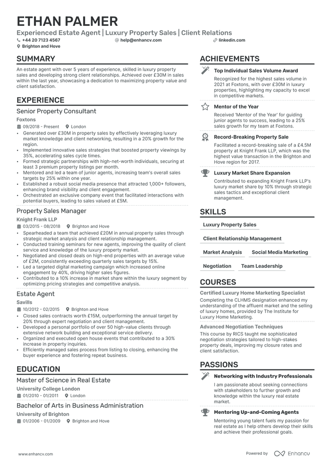 Real Estate Agent CV example
