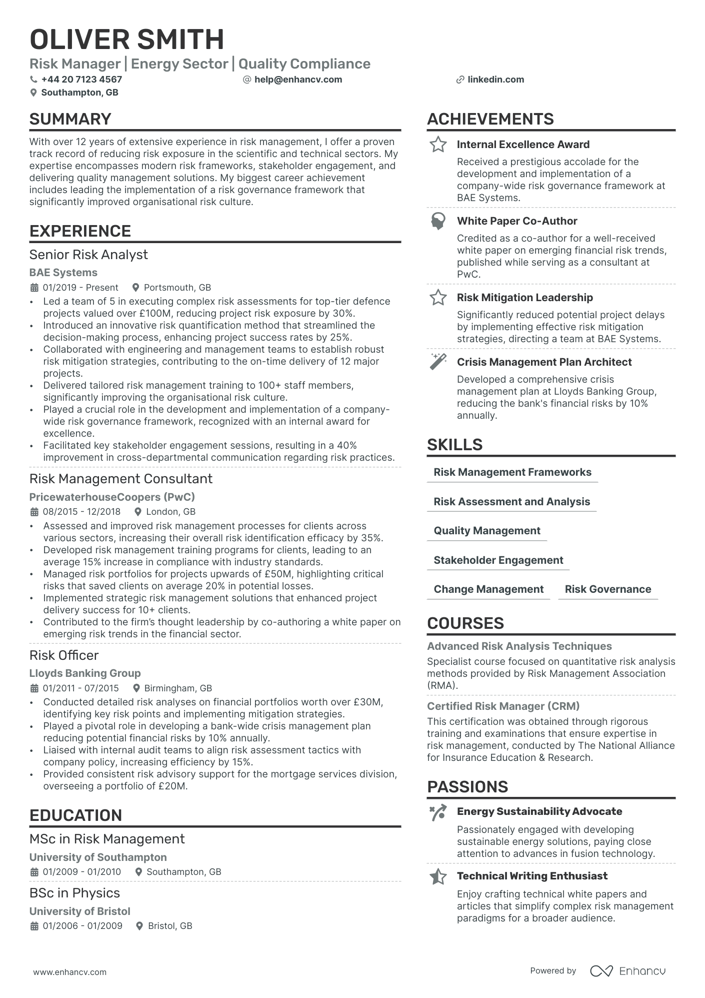 risk manager resume example