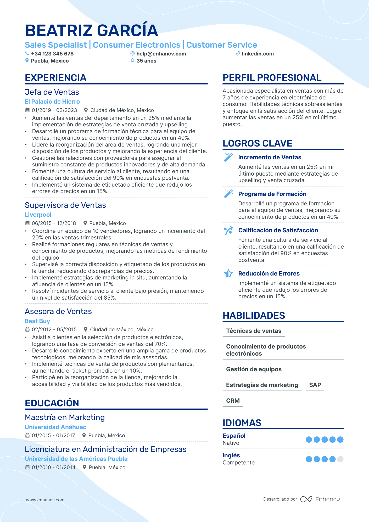 vendedor resume example