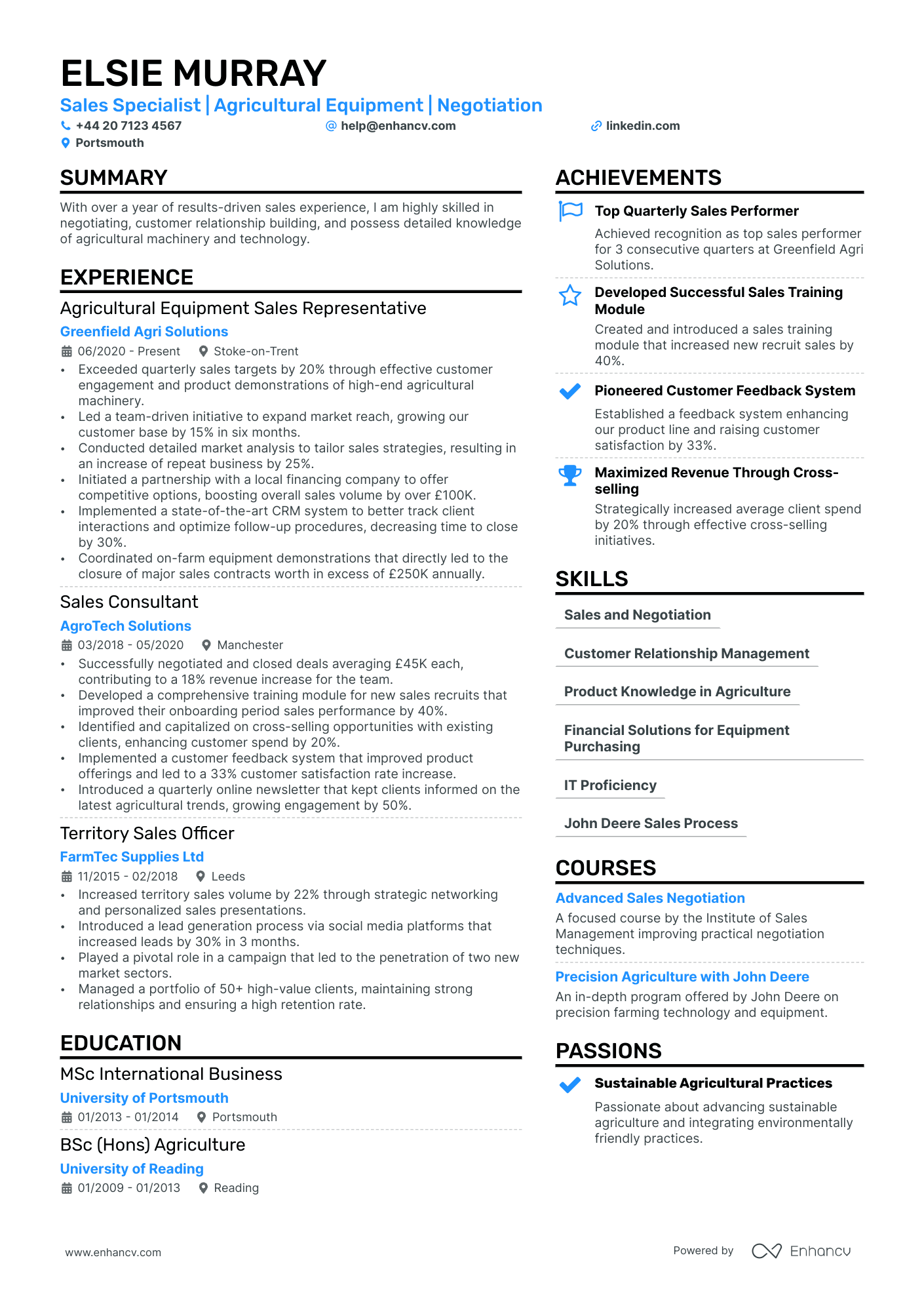 sales person resume example