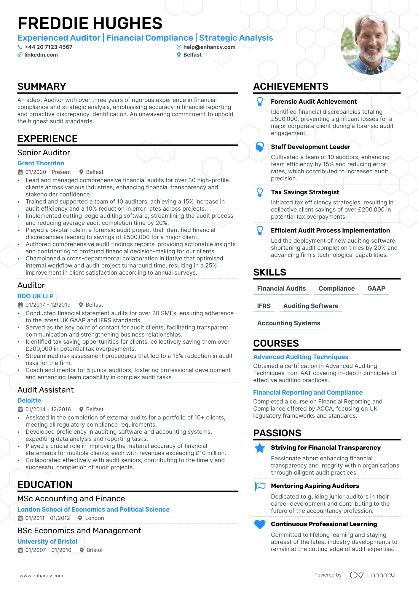 auditor resume example