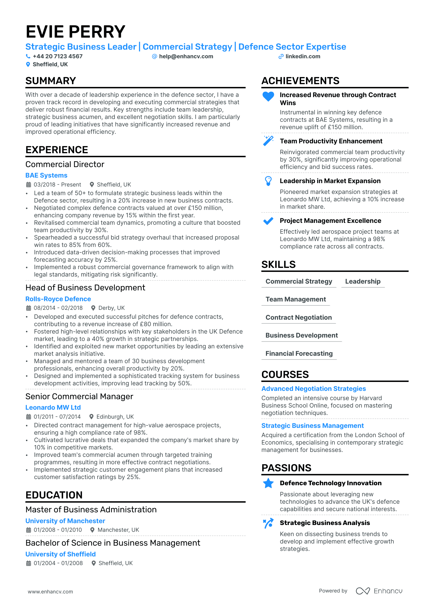 commercial director resume example