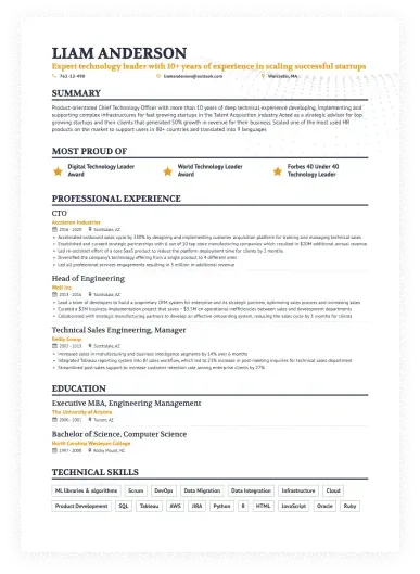 CV Sjabloon