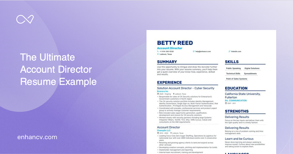 5 Account Director Resume Examples Guide For 2023