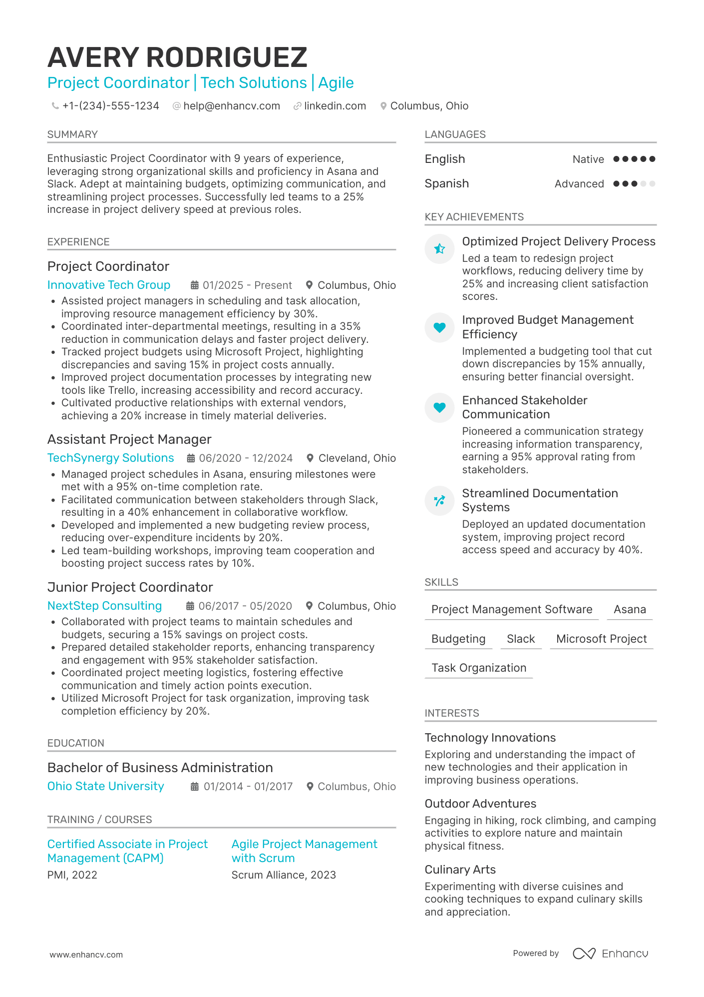 Project Coordinator resume example