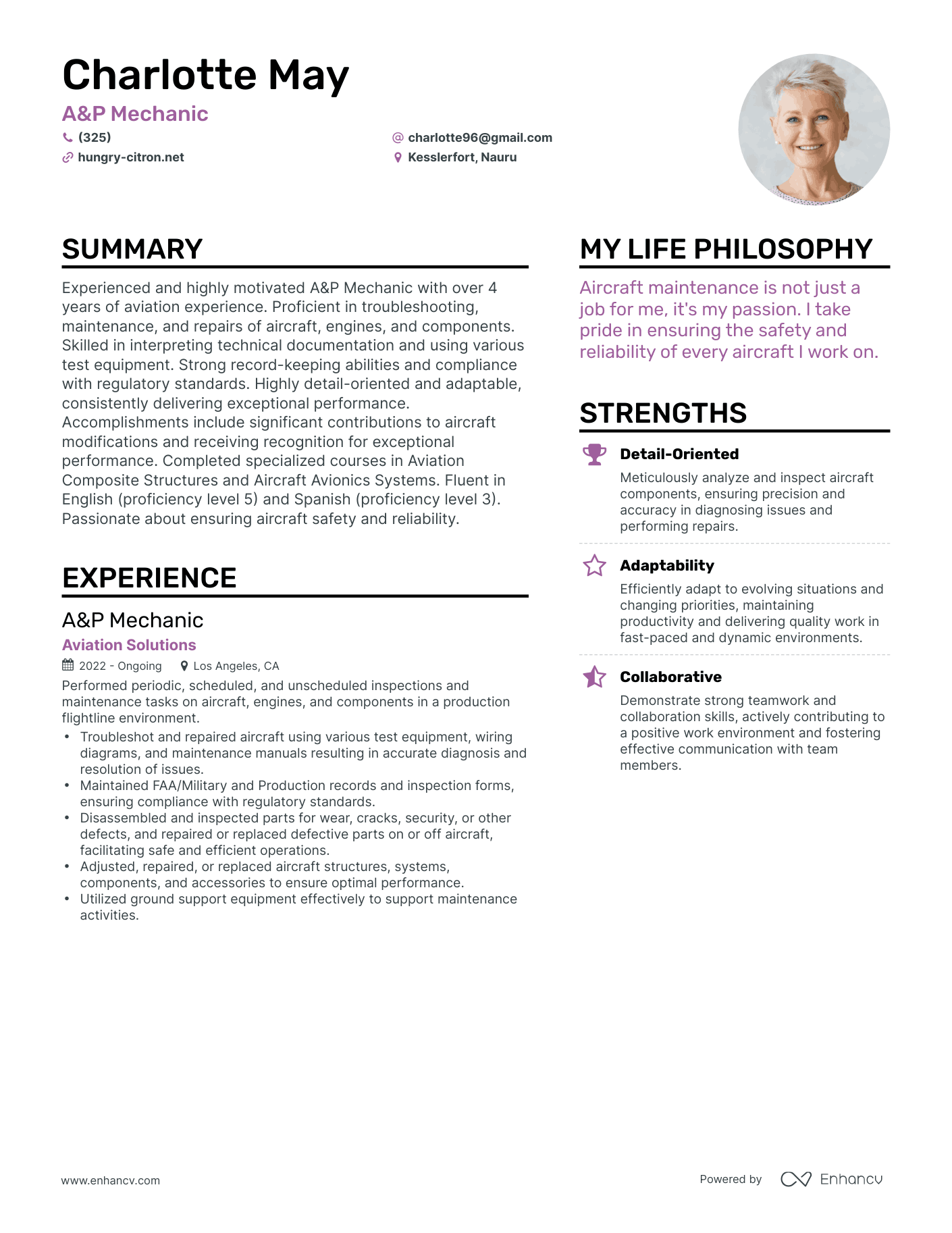 Modern A&P Mechanic Resume Example